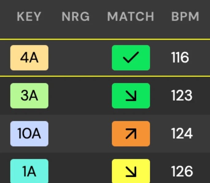 DJ.Studio app showing the 'Key', 'NRG', 'Match' and 'BPM' readings.